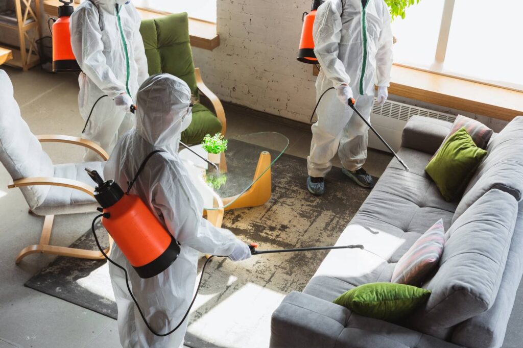 mold remediation